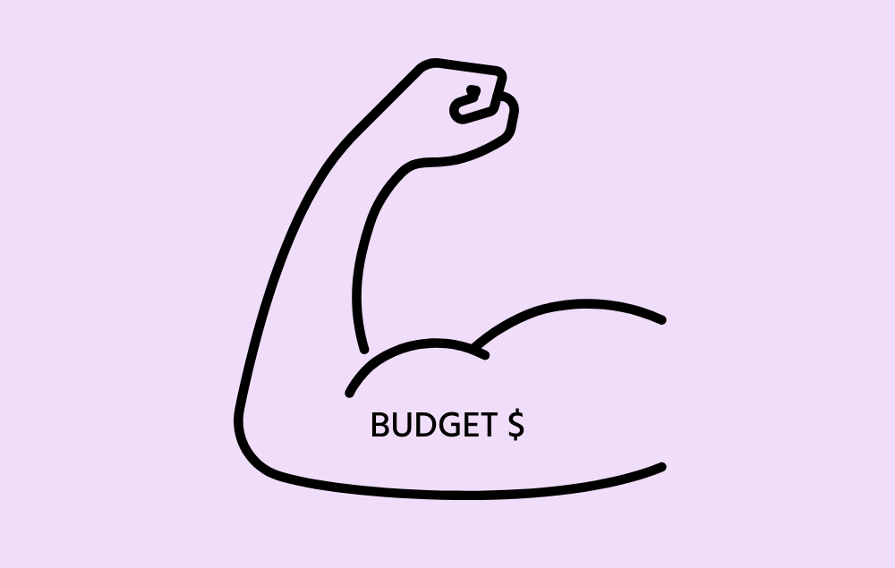Startup Budget with Muscle